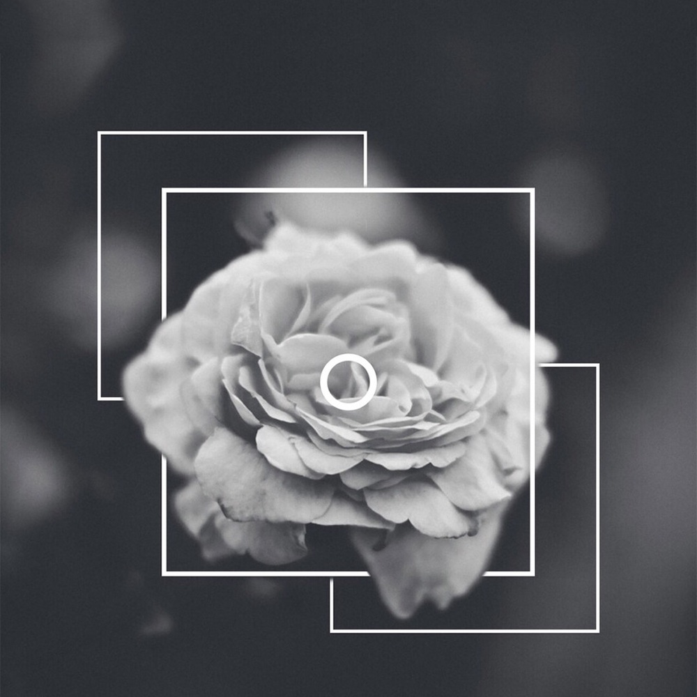 Meet your Posher, Nevada